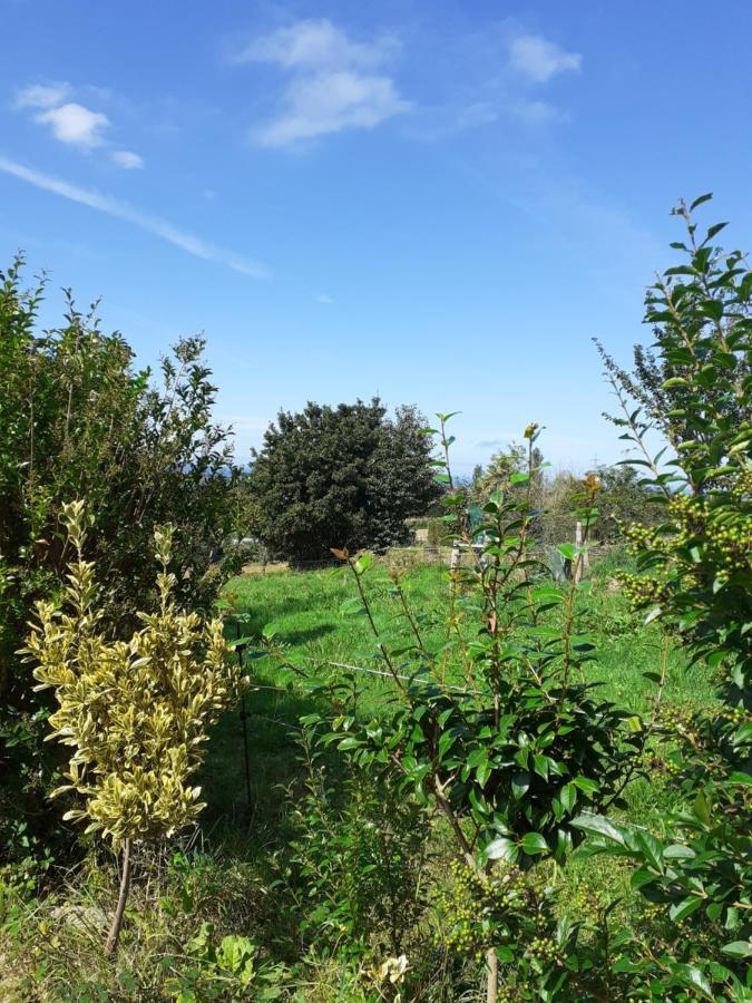 Y Casa La Paredana, Séjour à la campagne *
